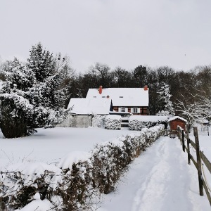 Schneelandschaft mit einem Haus im Hintergrund