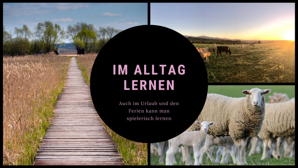 Ein Weg durch eine Landschaft, Kühe und Schafe